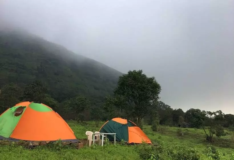 Hotel Canary Forest Camping