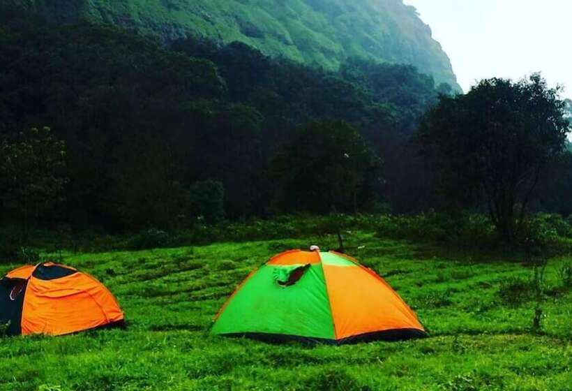 Отель Canary Forest Camping