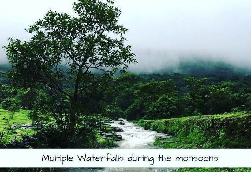 Отель Canary Forest Camping