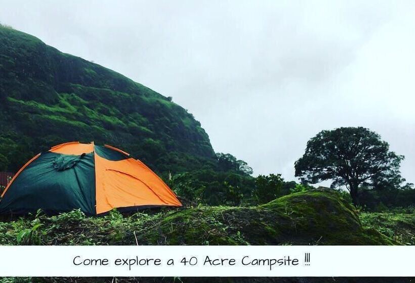 Отель Canary Forest Camping