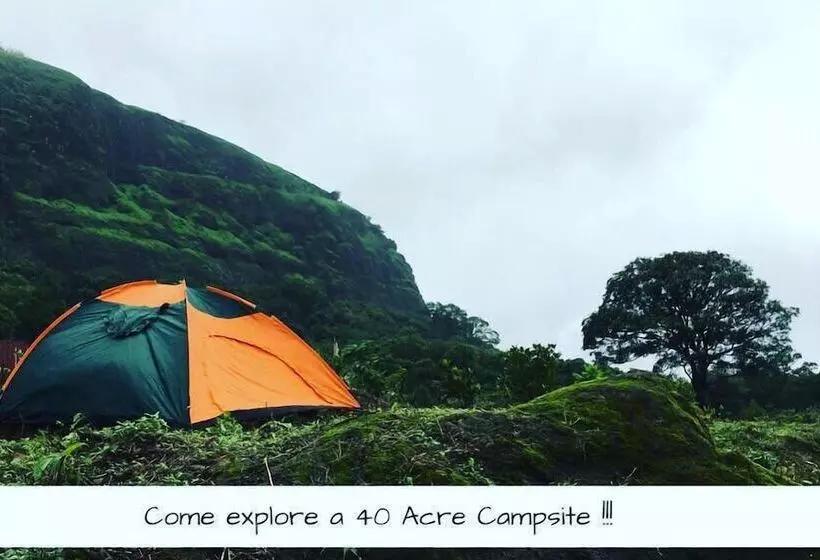 Hotel Canary Forest Camping