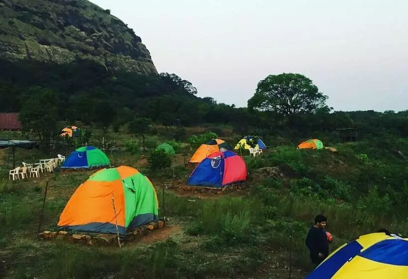 Hotel Canary Forest Camping