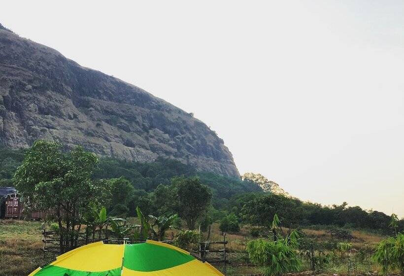 Отель Canary Forest Camping