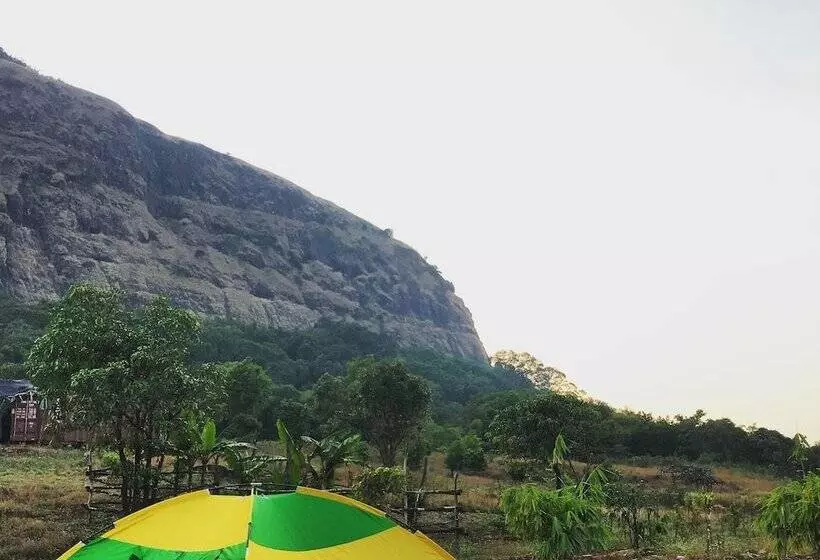 Hotel Canary Forest Camping