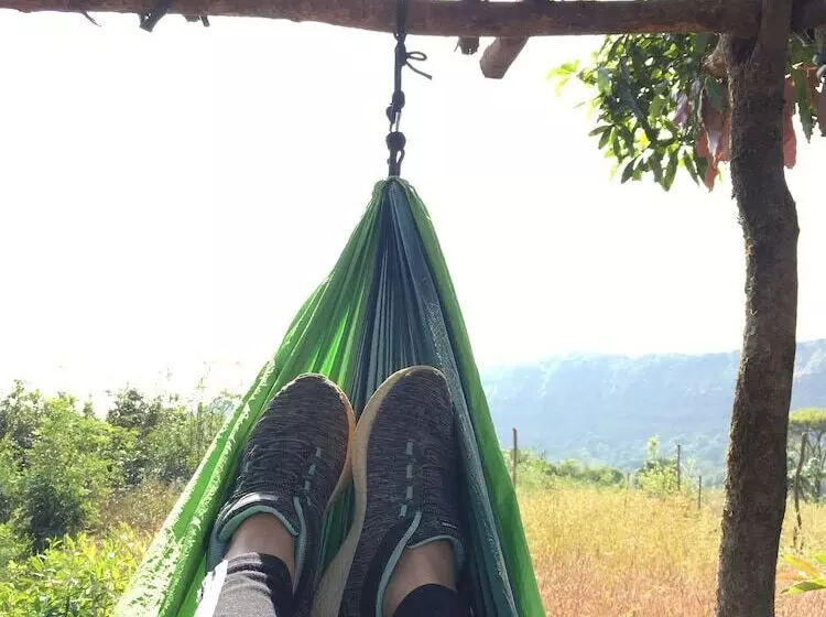 Hotel Canary Forest Camping