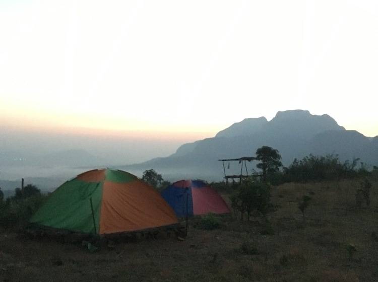 호텔 Canary Forest Camping