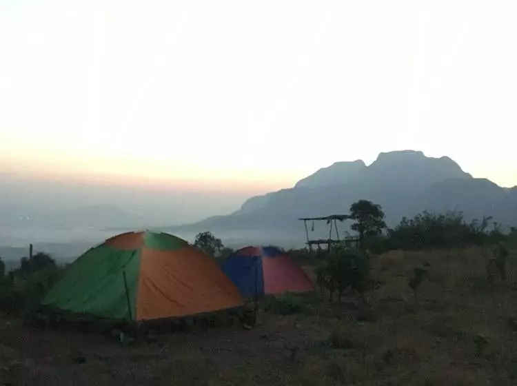 Hotel Canary Forest Camping
