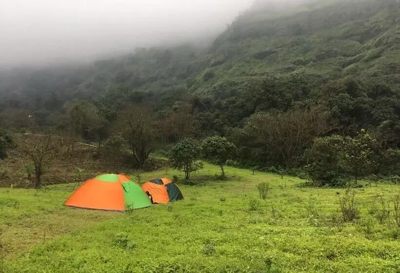 Hotel Canary Forest Camping