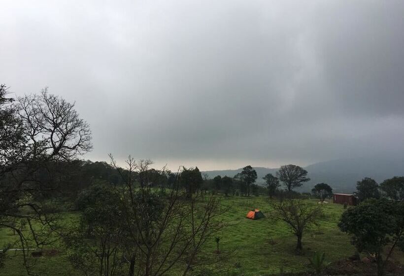 Отель Canary Forest Camping