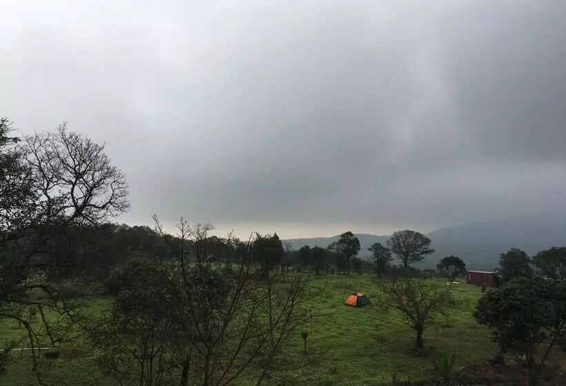 Hotel Canary Forest Camping