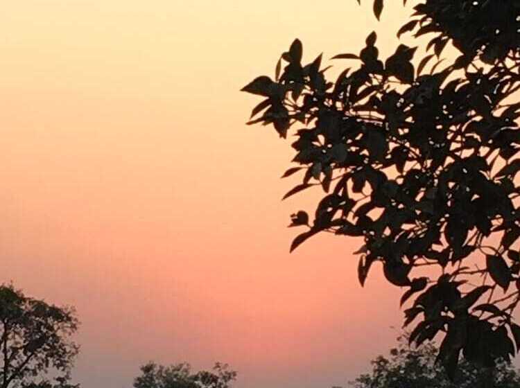 Отель Canary Forest Camping