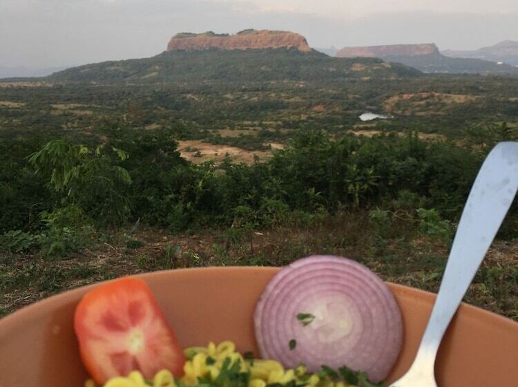 Отель Canary Forest Camping