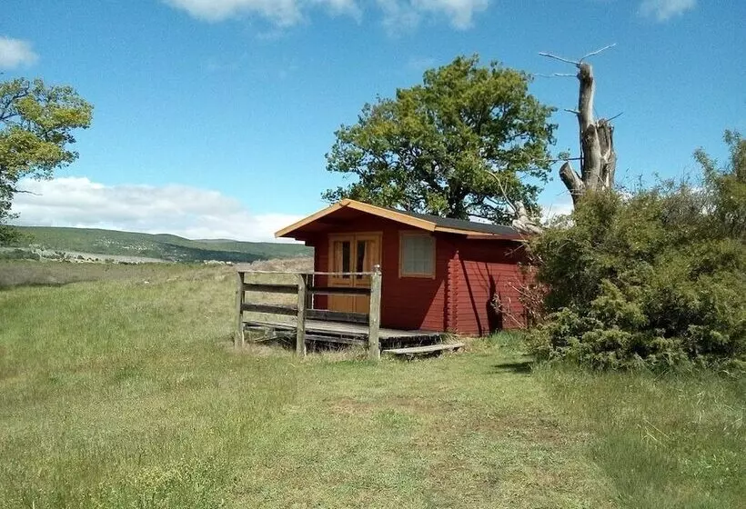 ホテル Les Truffiers Cabane