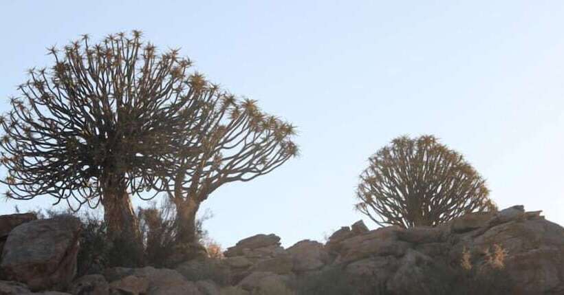 فندق Sperrgebiet Lodge