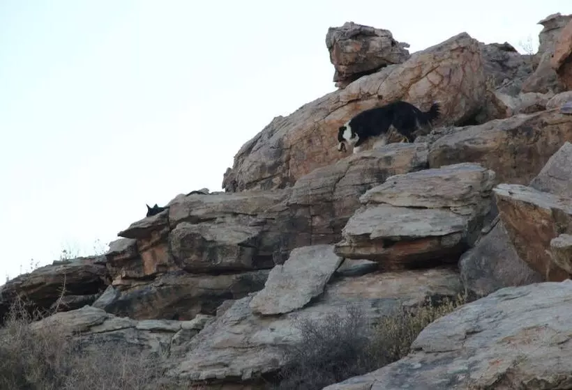 Hotelli Sperrgebiet Lodge