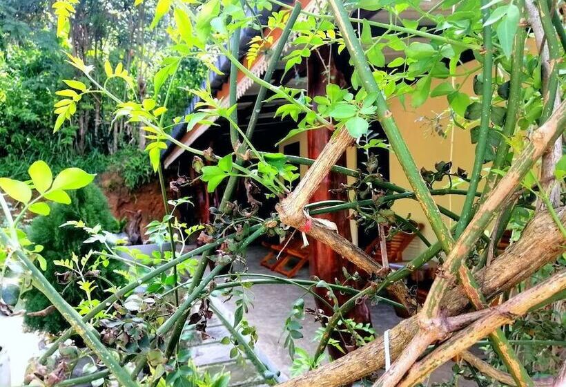 Hotel The Wisdom Home