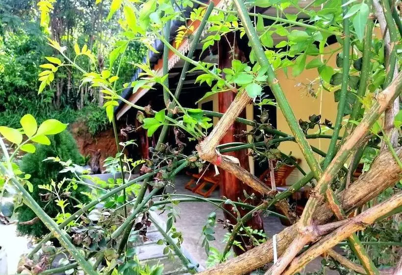 Hotelli The Wisdom Home