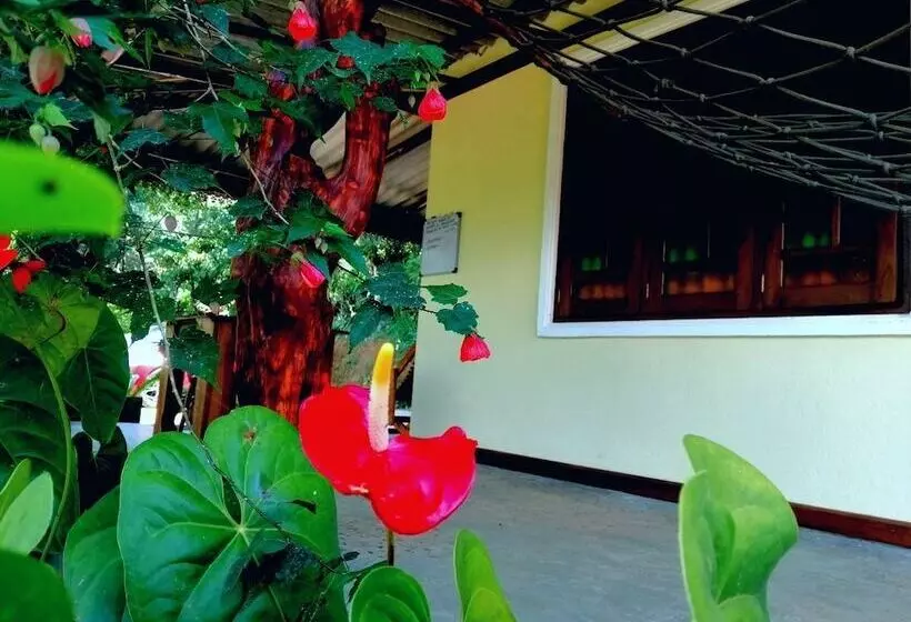 Hotelli The Wisdom Home