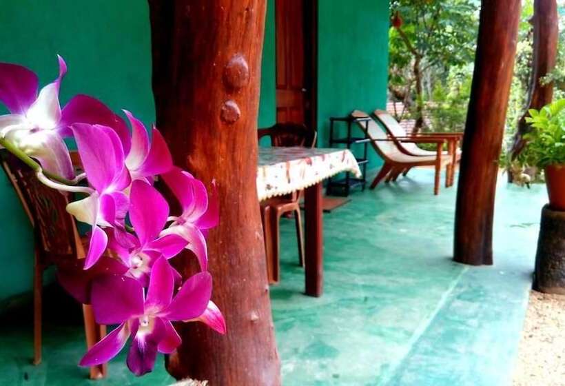 Hotel The Wisdom Home