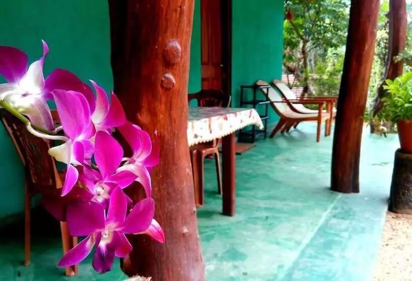 Hotelli The Wisdom Home