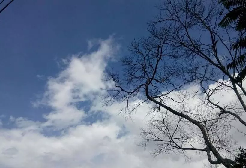 Hotelli The Wisdom Home