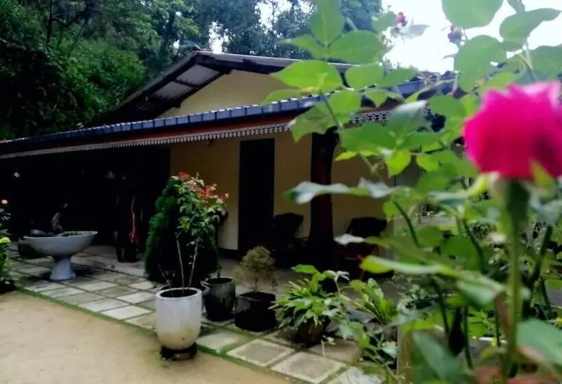 Hotelli The Wisdom Home