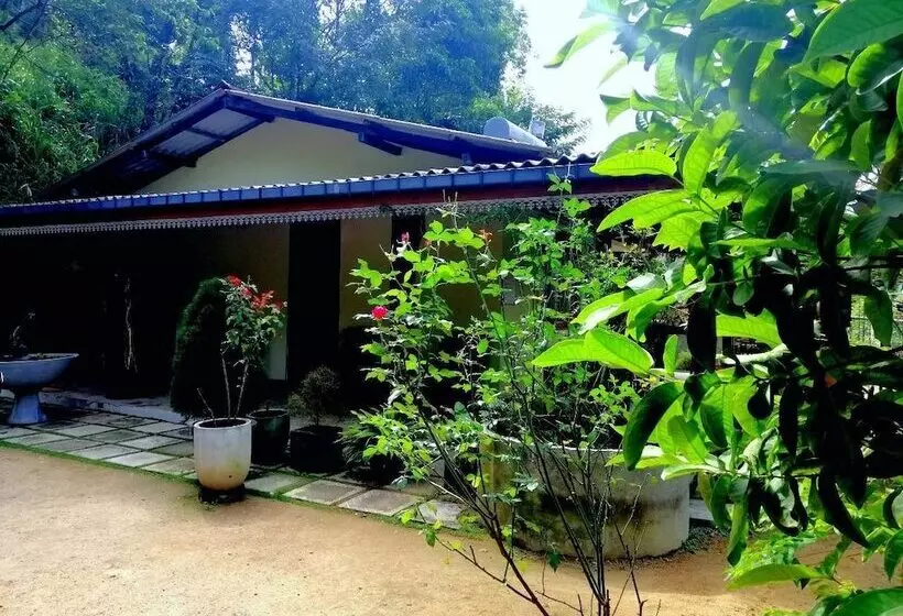 Hotelli The Wisdom Home