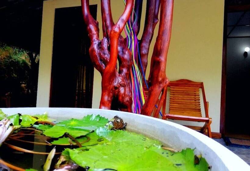 Hotel The Wisdom Home