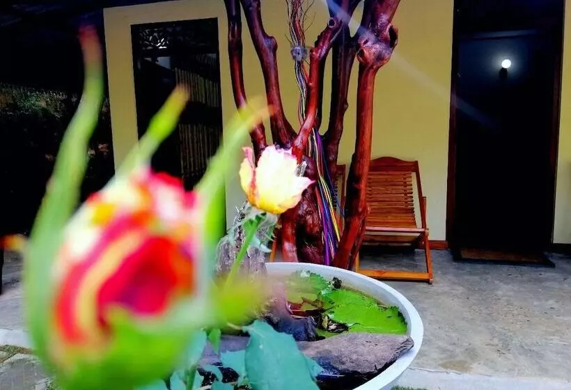 Hotelli The Wisdom Home