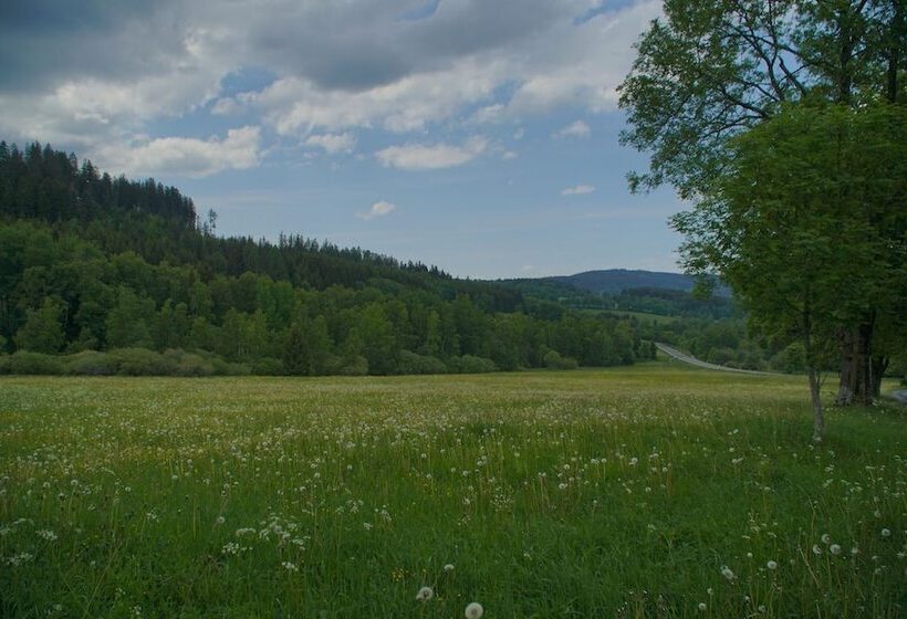 酒店 U Anděla Michaela