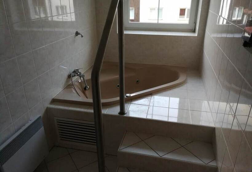 酒店 U Anděla Michaela