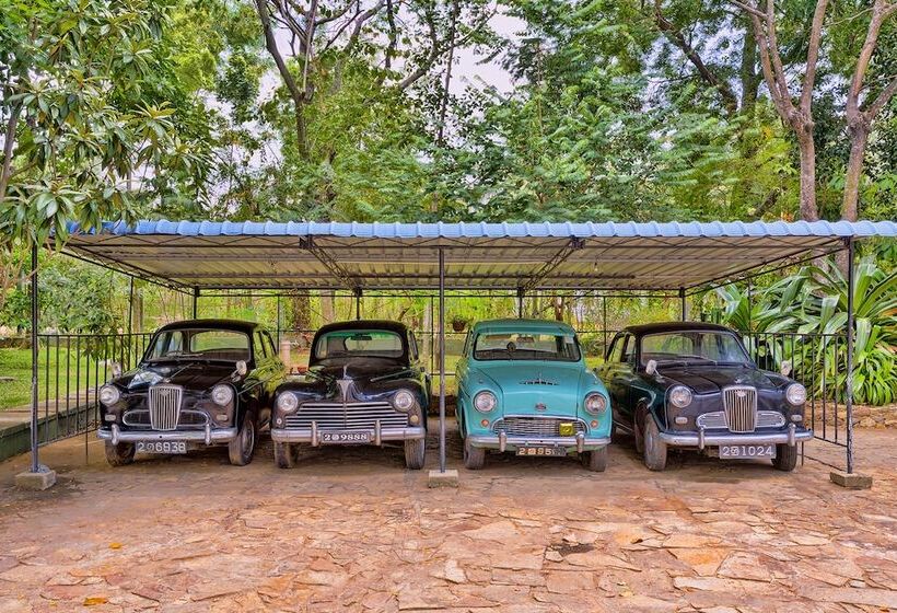 Szálloda Udawalawe Ayurvedic Resort