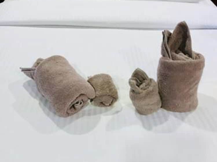 בית מלון כפרי We Care Resort