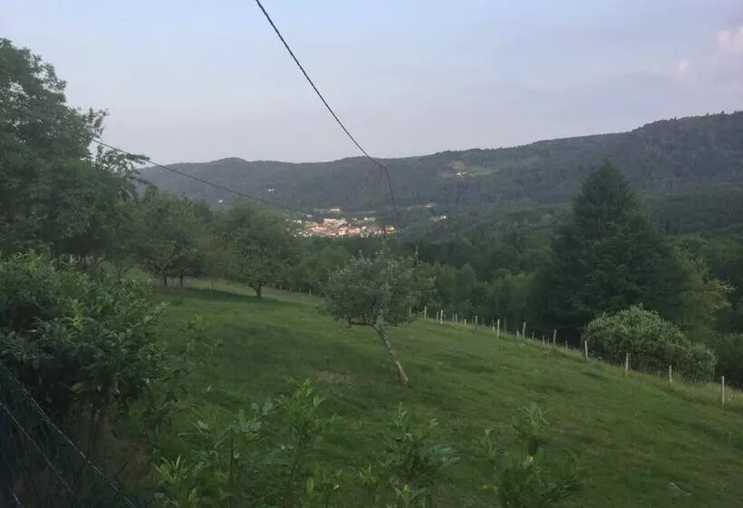 La Ferme De Là Haut B&b