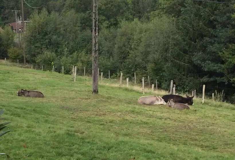 La Ferme De Là Haut B&b