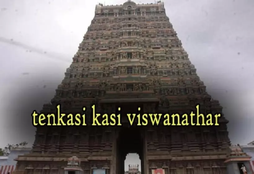 Orchard Valley Resort