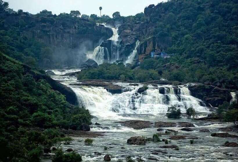 Orchard Valley Resort