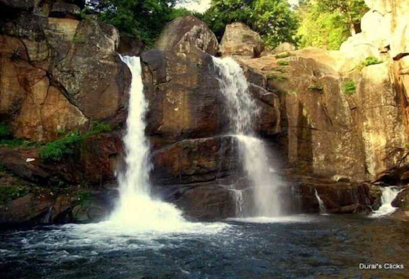 Orchard Valley Resort