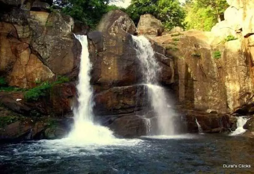 Orchard Valley Resort