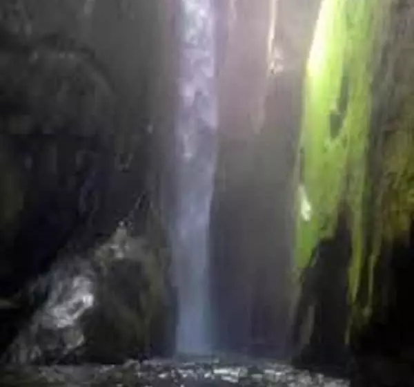 Orchard Valley Resort