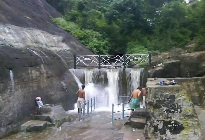 Orchard Valley Resort