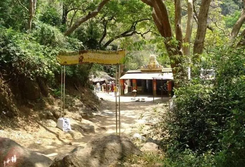 Orchard Valley Resort