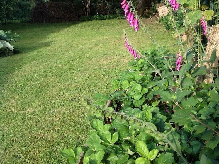 膳宿费 La Peuterne