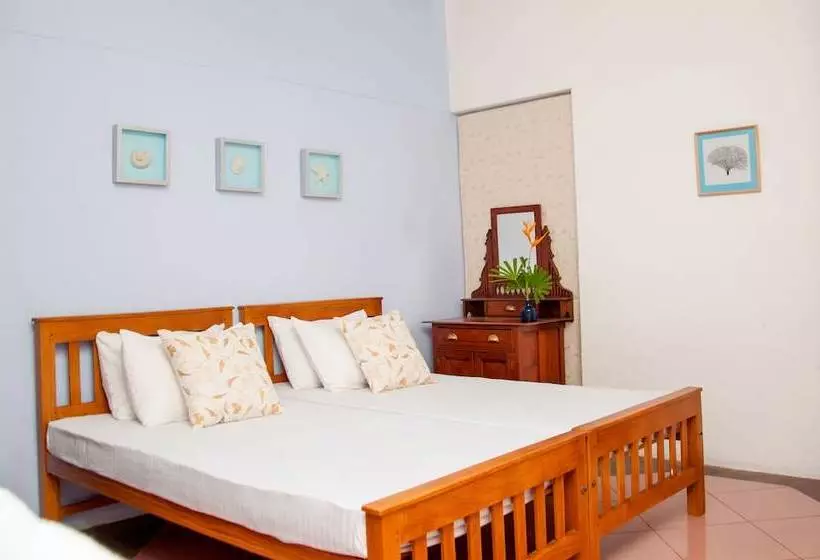 ペンション The Fern Cove Colombo