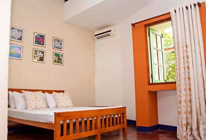 ペンション The Fern Cove Colombo