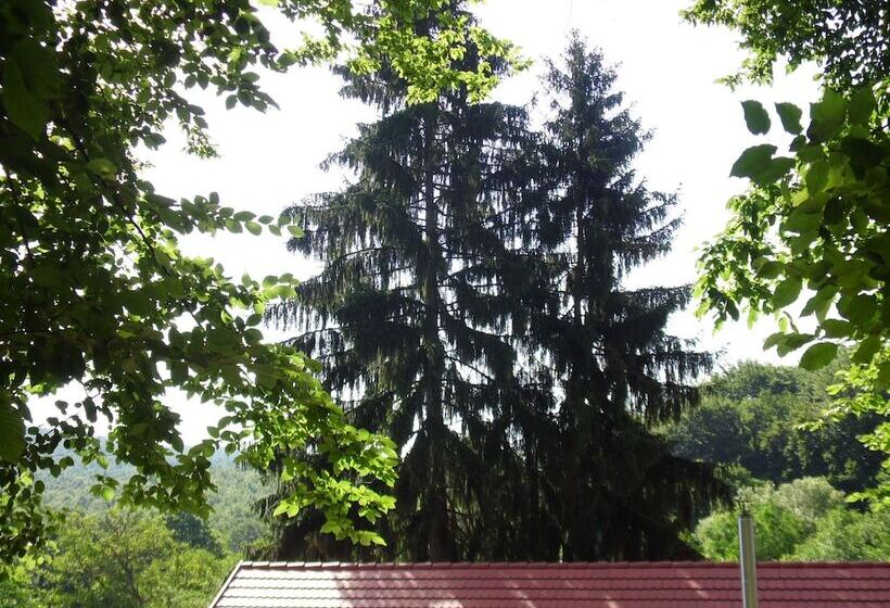 Пансион Vörös Cser Vendégház