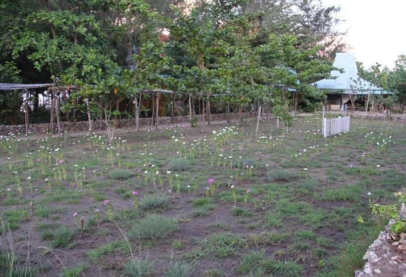 住宿加早餐 Cemara Beachfront Suite