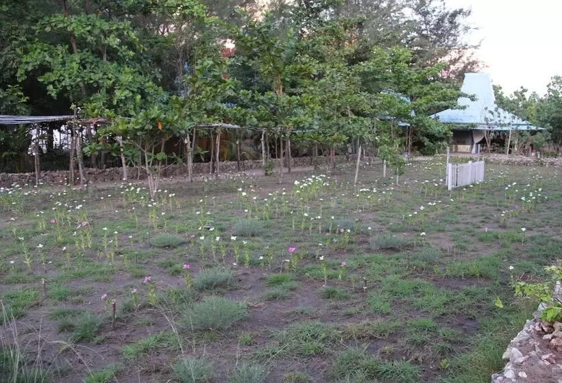 Aamiaismajoitus (B&B) Cemara Beachfront Suite