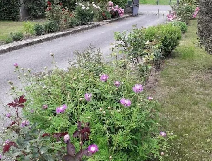 Aamiaismajoitus (B&B) Chambres D’hôtes D Origny En Thierache