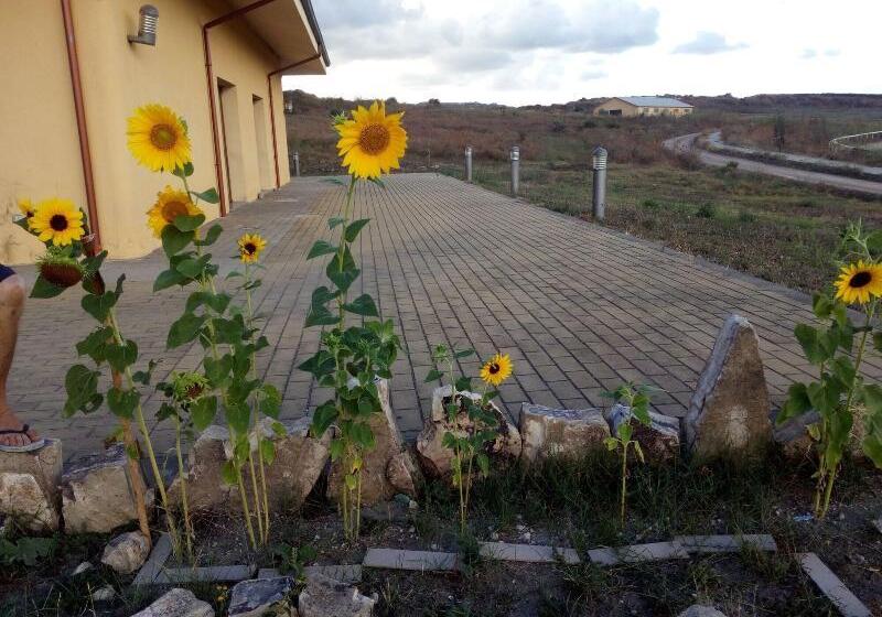 פונדק Bena E Traes